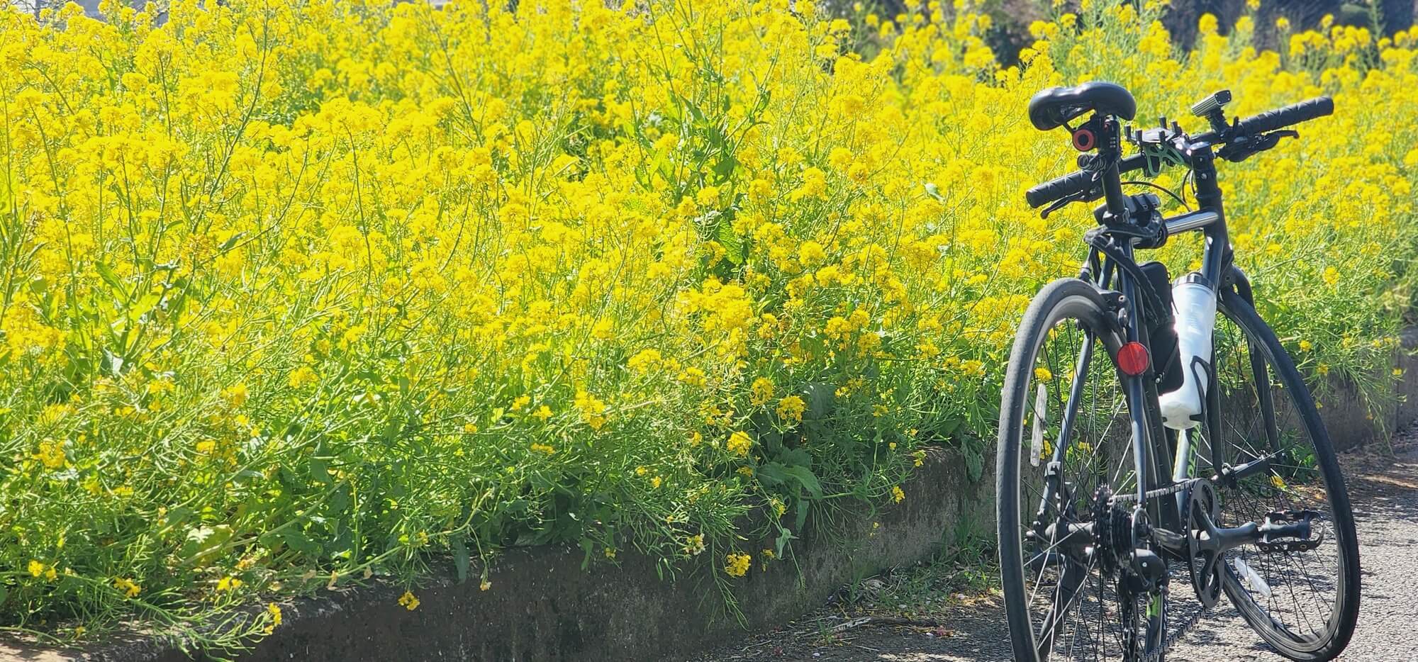 自転車でストリートピアノ巡り24横浜→鎌倉→藤沢→相模原→海老名の新規ストピスポット4件の旅 - Stopi-Japan.com♪