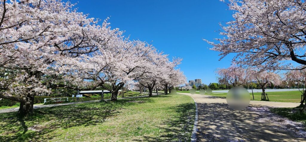 まつばら綾瀬川公園