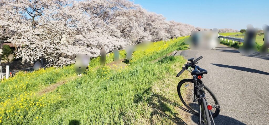 熊谷桜堤